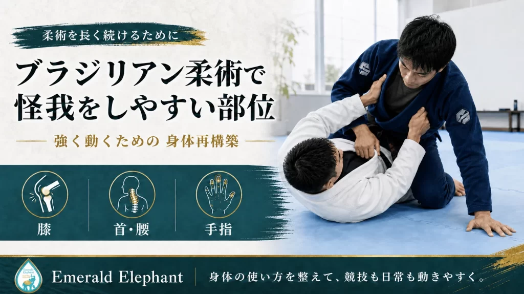 ブラジリアン柔術で怪我をしやすい部位を身体再構築の視点で解説するアイキャッチ画像