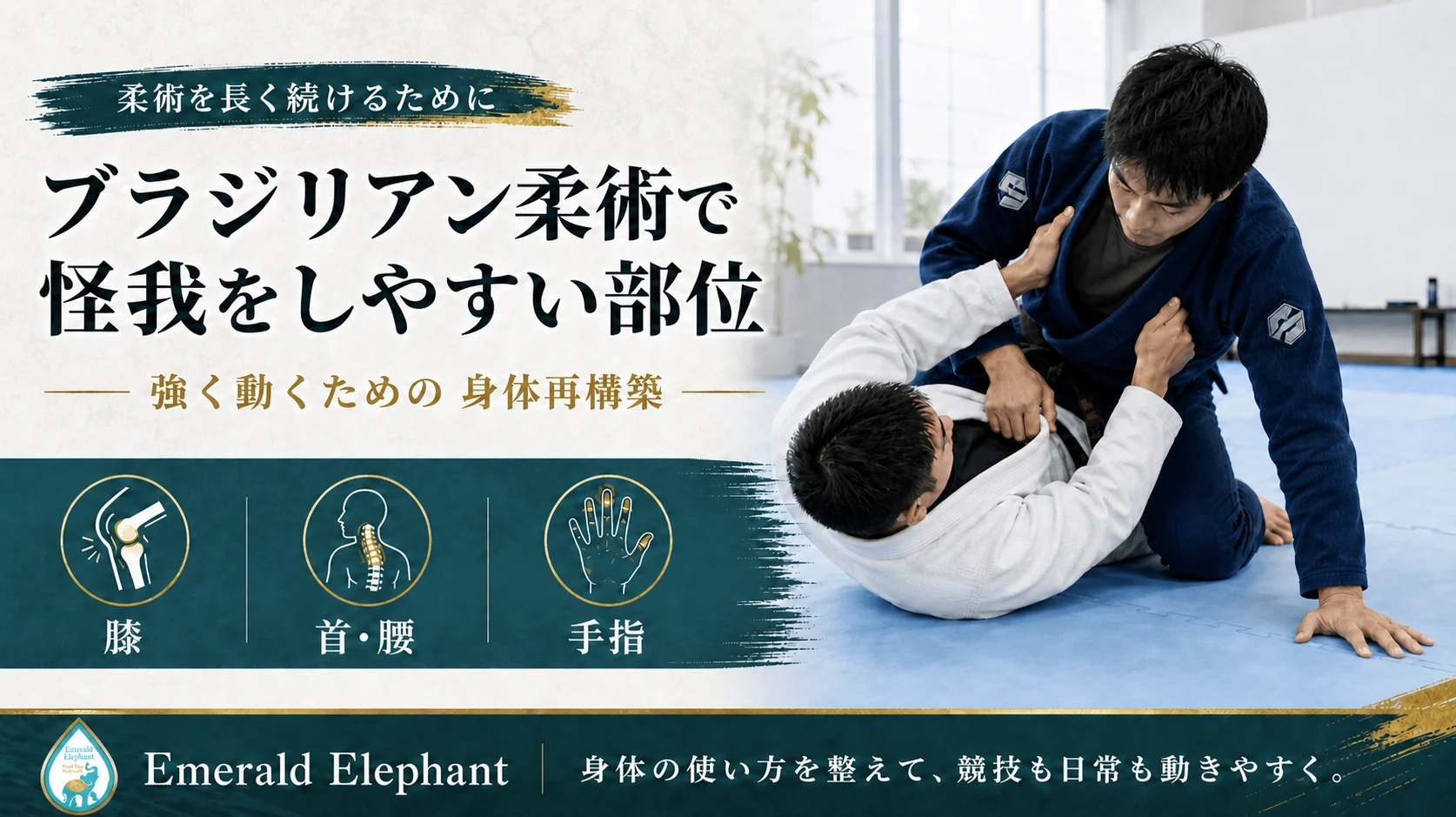 ブラジリアン柔術で怪我をしやすい部位を身体再構築の視点で解説するアイキャッチ画像